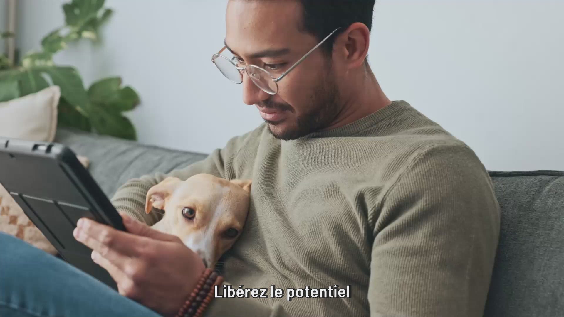 Charger la vidéo : 